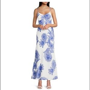 Floral Blue and White Maxi Dress